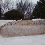 snow-coney